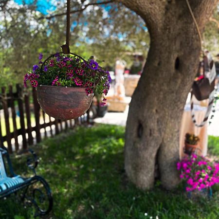 Agriturismo Le Faeta Arpino 外观 照片