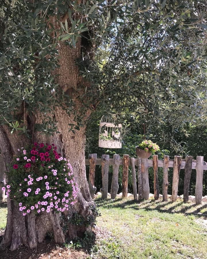 Agriturismo Le Faeta Arpino 外观 照片