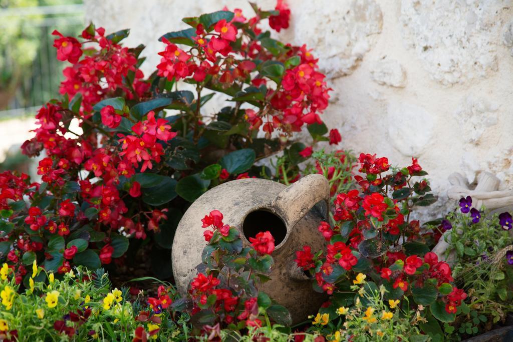Agriturismo Le Faeta Arpino 外观 照片
