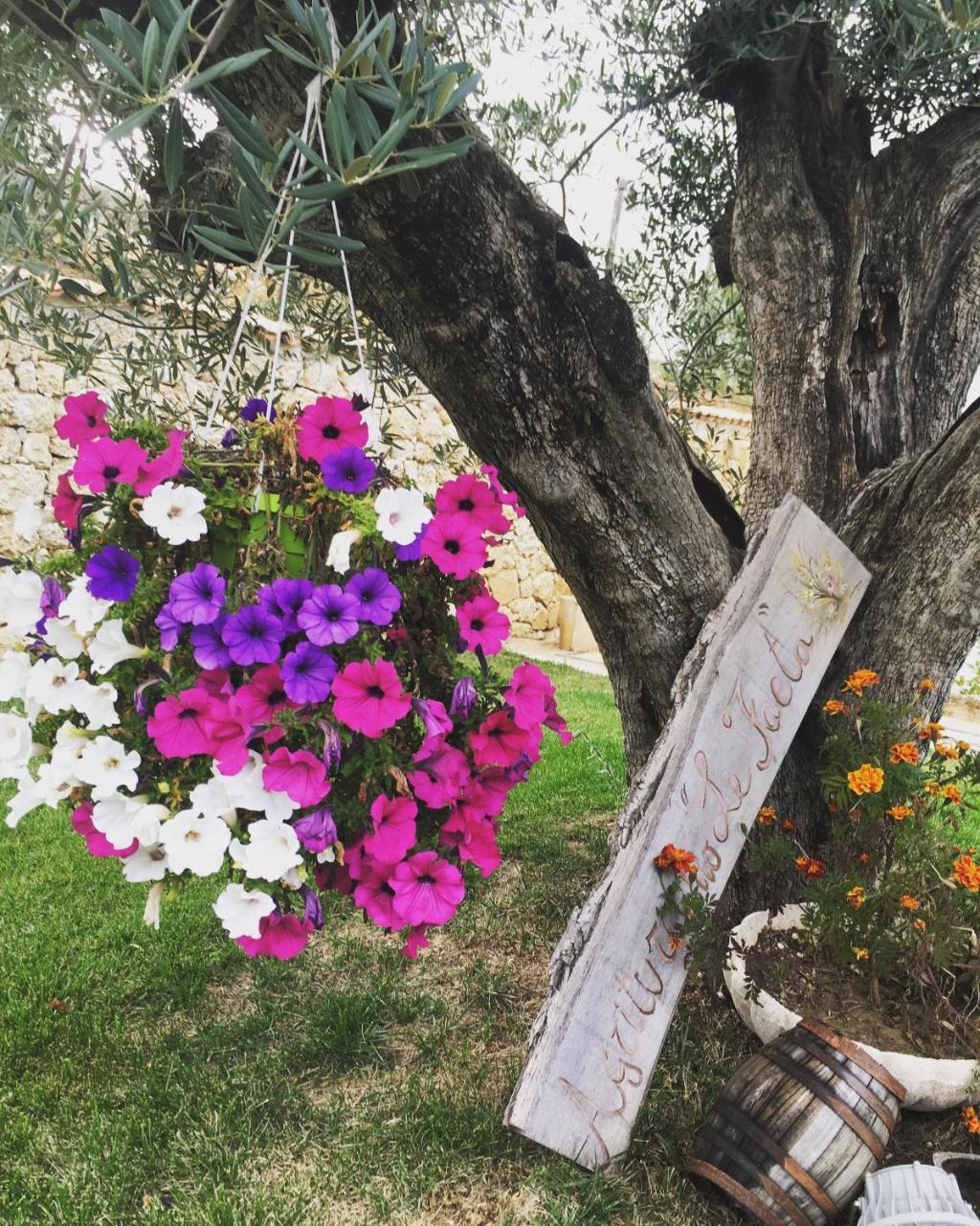 Agriturismo Le Faeta Arpino 外观 照片